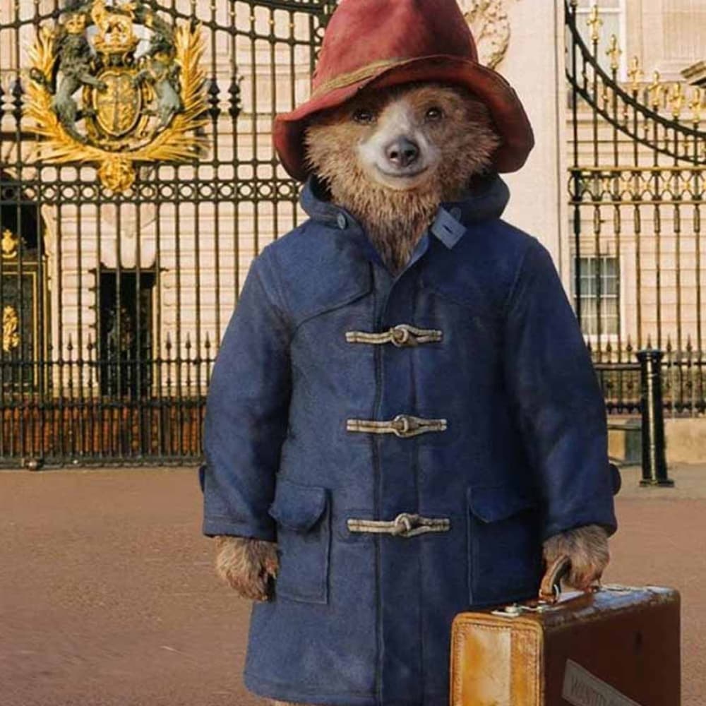 Toggle Duffle Blue Paddington Bear Coat